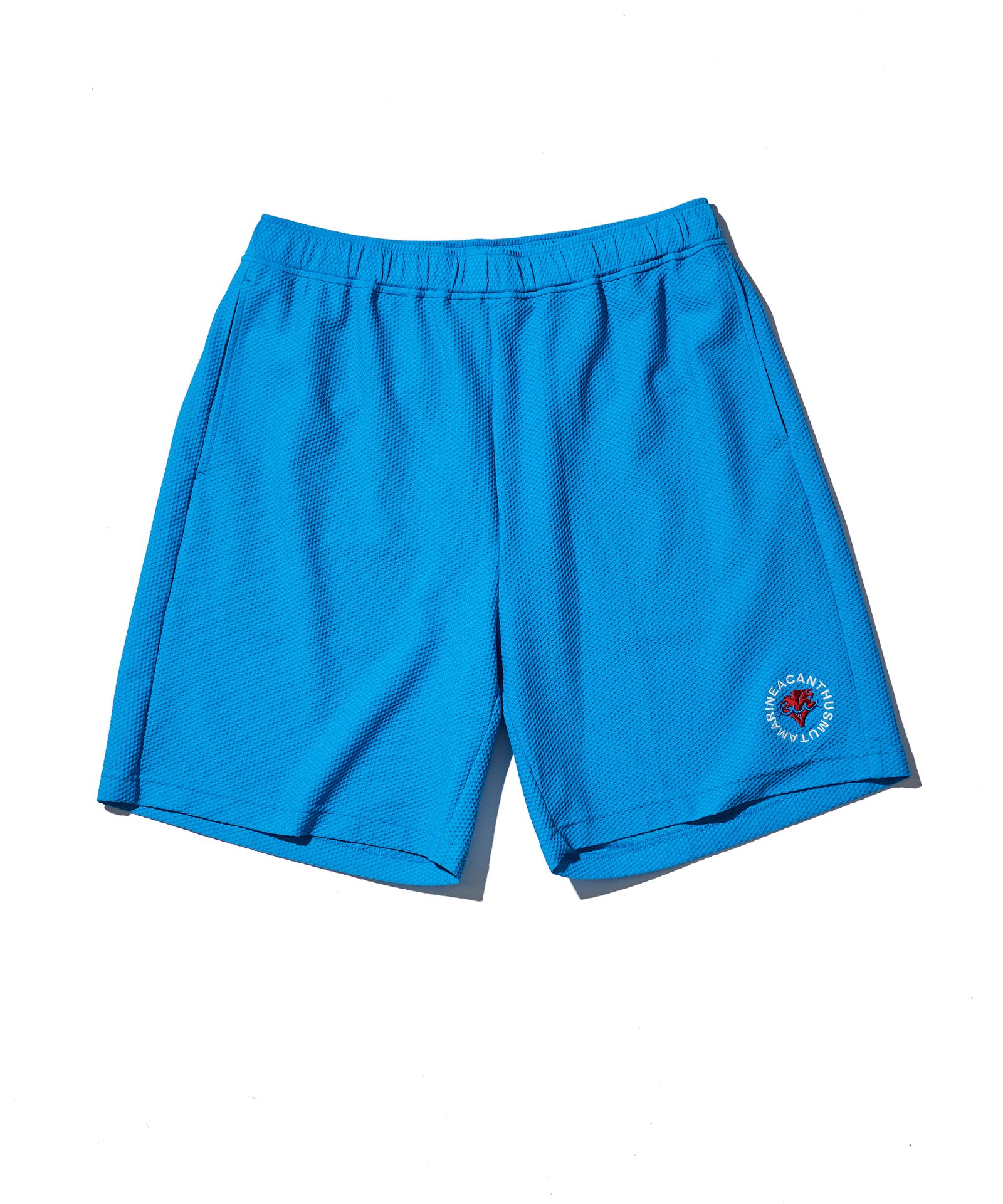 ACANTHUS × muta MARINE / muta Mesh Easy Shorts / メッシュイージーショーツ / BLUE【MA2521】