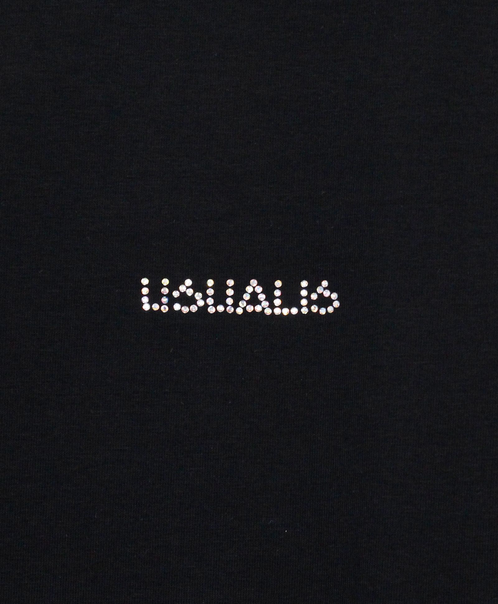 ペイント＆スワロ S/S Tシャツ / ブラック [UC31-N9823]