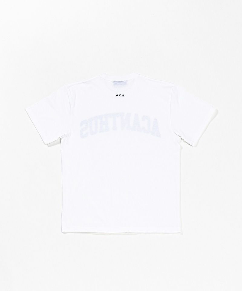 カレッジロゴTシャツ / Collge Logo Tee / WHITE