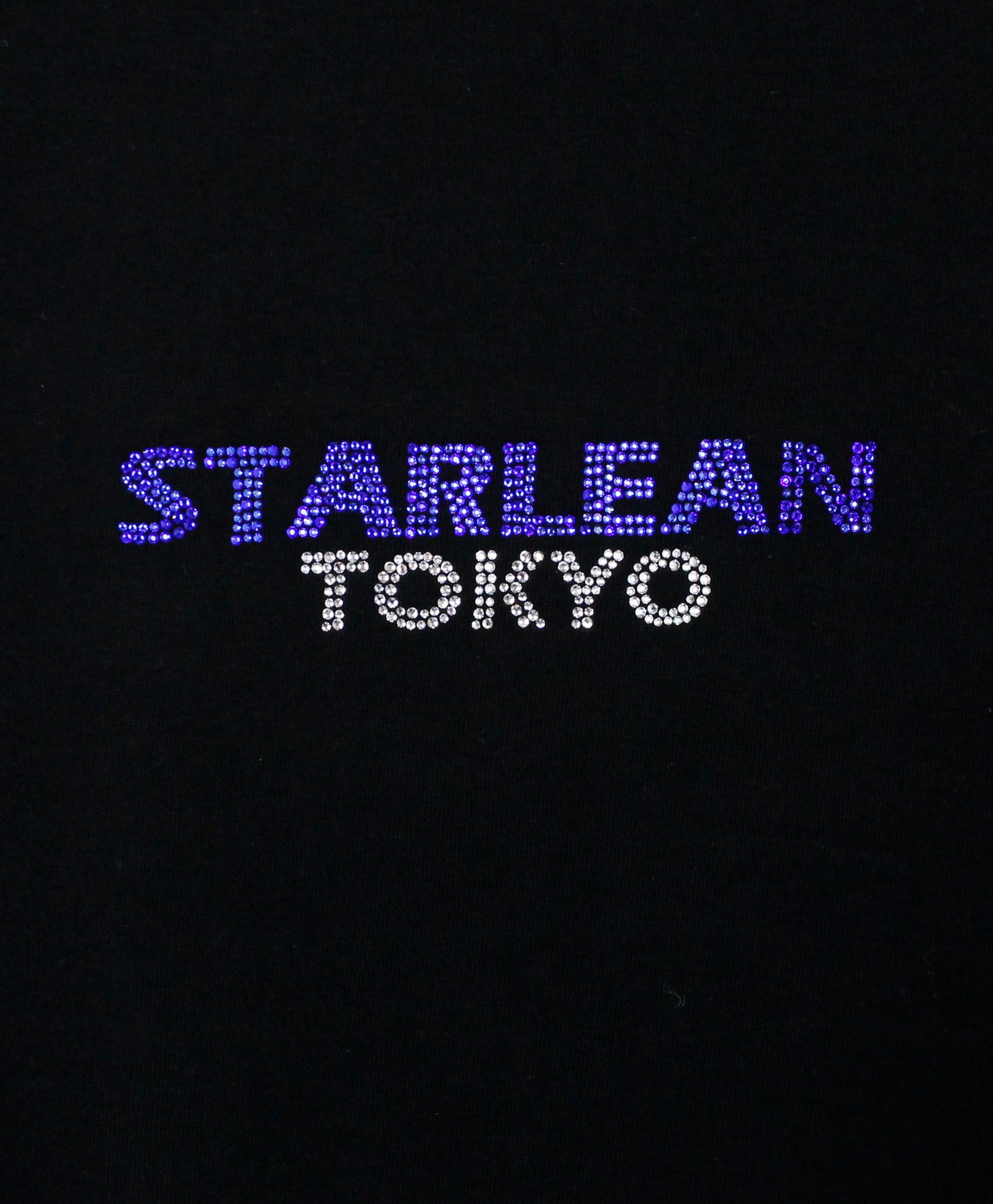 ロゴ スワロ ロンT / LOGO SWALLOW LONG T-SHIRT / BLACK [SLLT064]