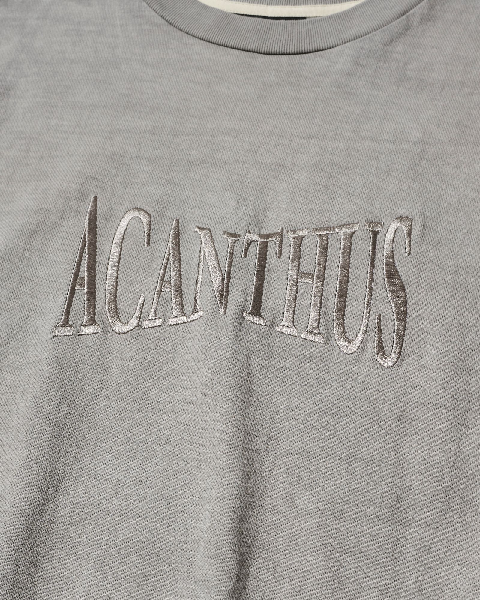 ☆先行予約☆ ヘビーオンスTシャツ  /  Heavy oz Tee / PIGMENT LIGHT GRAY【CT2708】