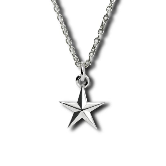 Tiny star necklace / タイニースターネックレス  シルバー [217A01S]