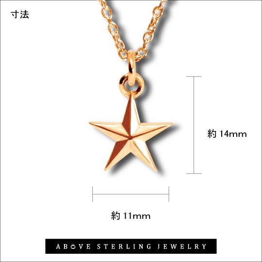 Tiny star necklace RG / タイニースターネックレス / ローズゴールド [217A02R]