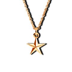 Tiny star necklace RG / タイニースターネックレス / ローズゴールド [217A02R]