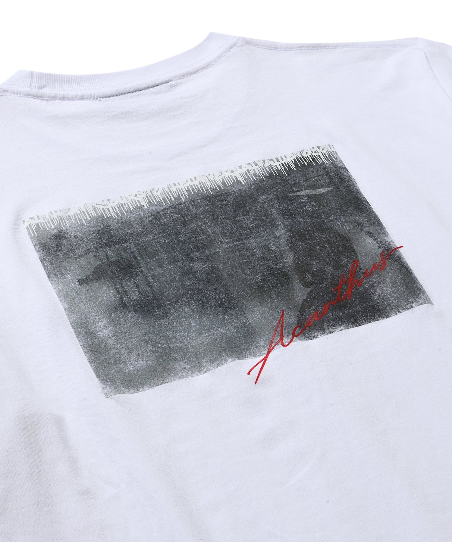 フォトペーパープリント L/S Tシャツ / Photo Paper Print L/S Tee (Horror) / WHITE