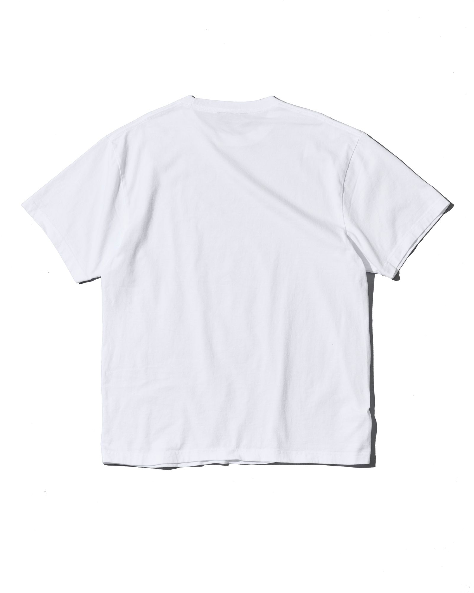 ☆先行予約☆ ヴィンテージ オールドイングリッシュ Tシャツ  /  Vintage Wash Old English Tee / WHITE【CT2701】