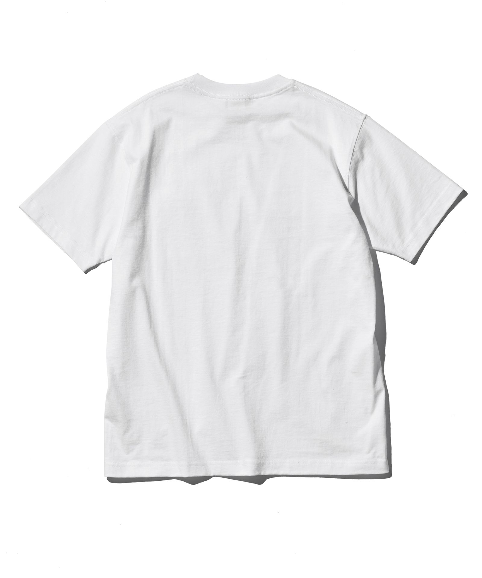 Old Logo Tee×PRO TAG BODY / Tシャツ / WHITE 【CT2506】