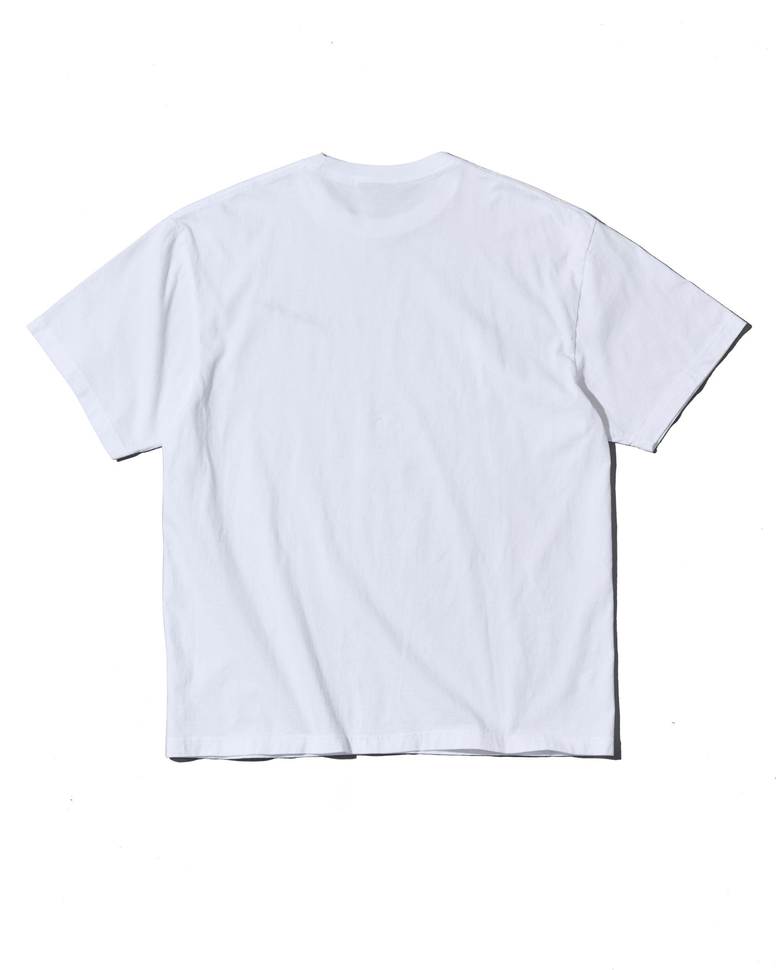☆先行予約☆ ヴィンテージ エンブロイダリーTシャツ  /  Vintage Wash Embroidered Tee / WHITE 【CT2705】