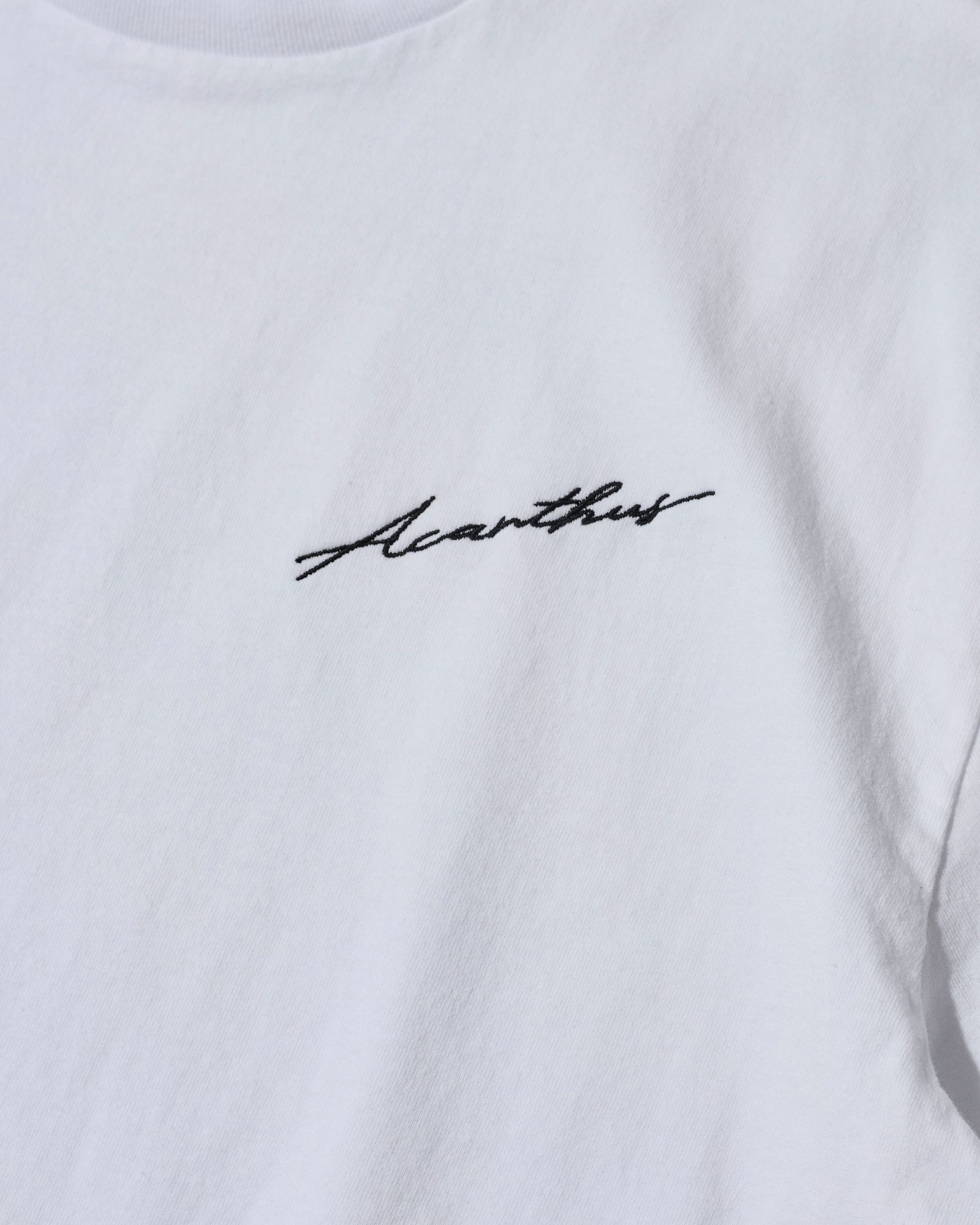 ☆先行予約☆ ヴィンテージ エンブロイダリーTシャツ  /  Vintage Wash Embroidered Tee / WHITE 【CT2705】