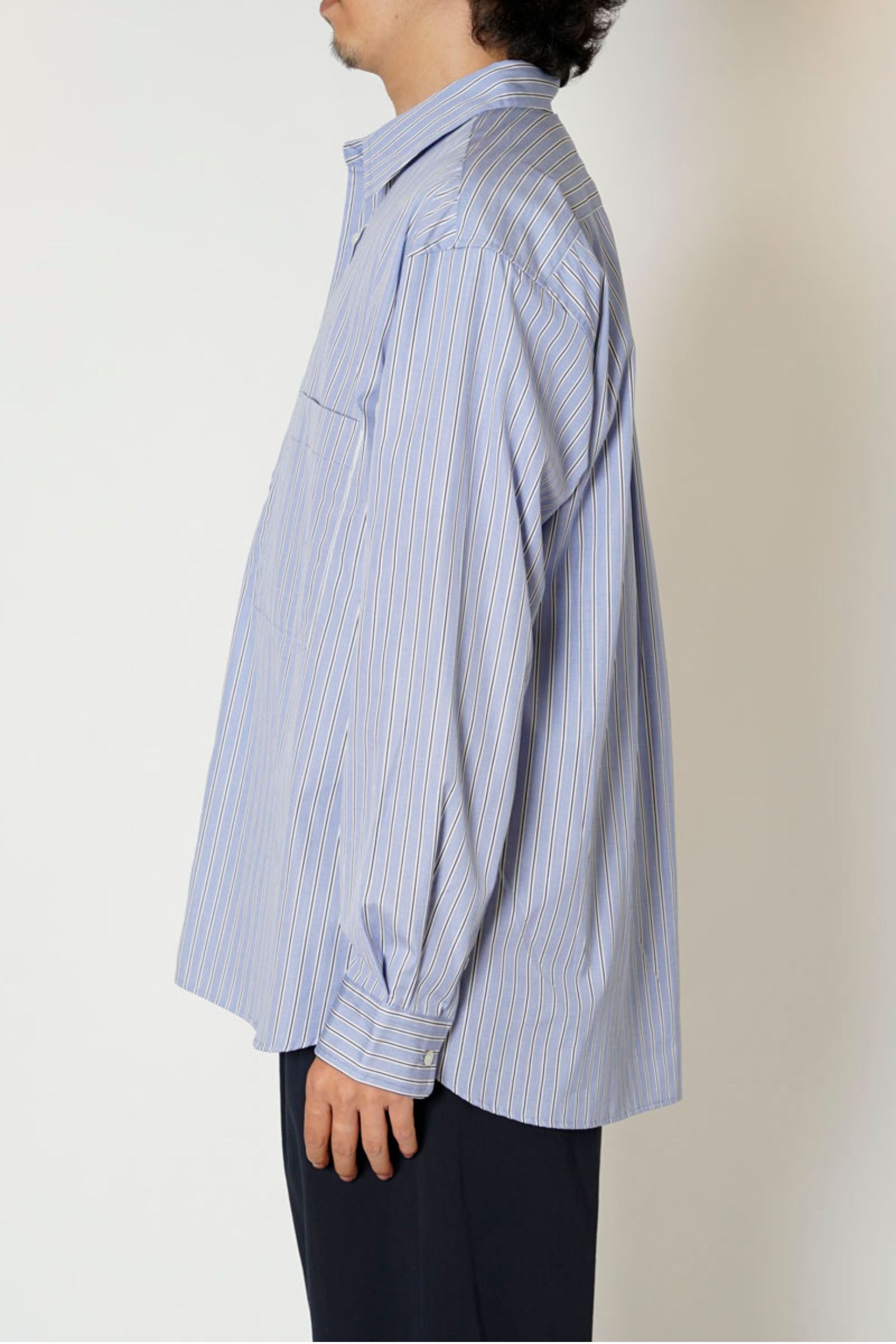 T.M. STRIPE REGULAR COLLAR L/S SHIRT/BLUE STRIPE