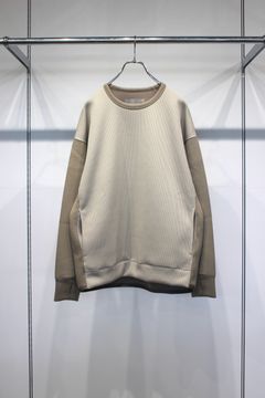 KNIT-COMBI RAYON DOUBLE-KNIT P/O | GREIGE | クルーネックプルオーバー