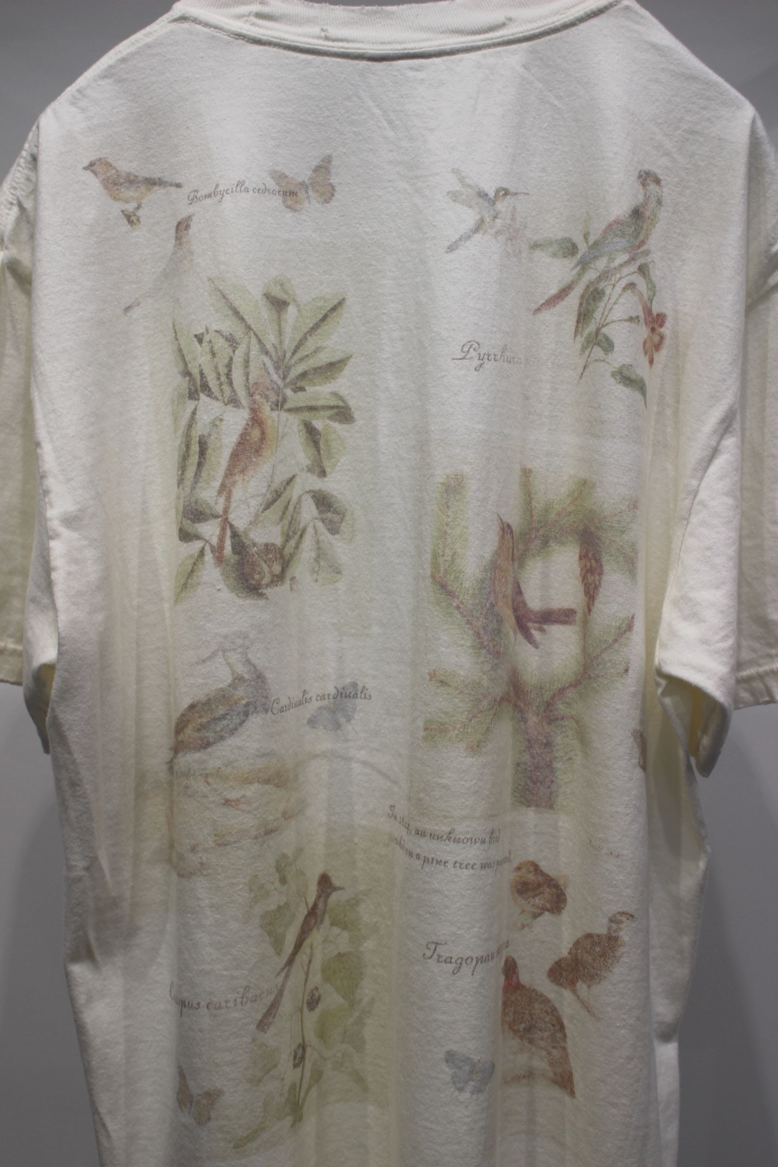 ancellm カットソー Tシャツ・カットソー商品一覧｜ANCELLM アンセルム｜CIENTO WEB