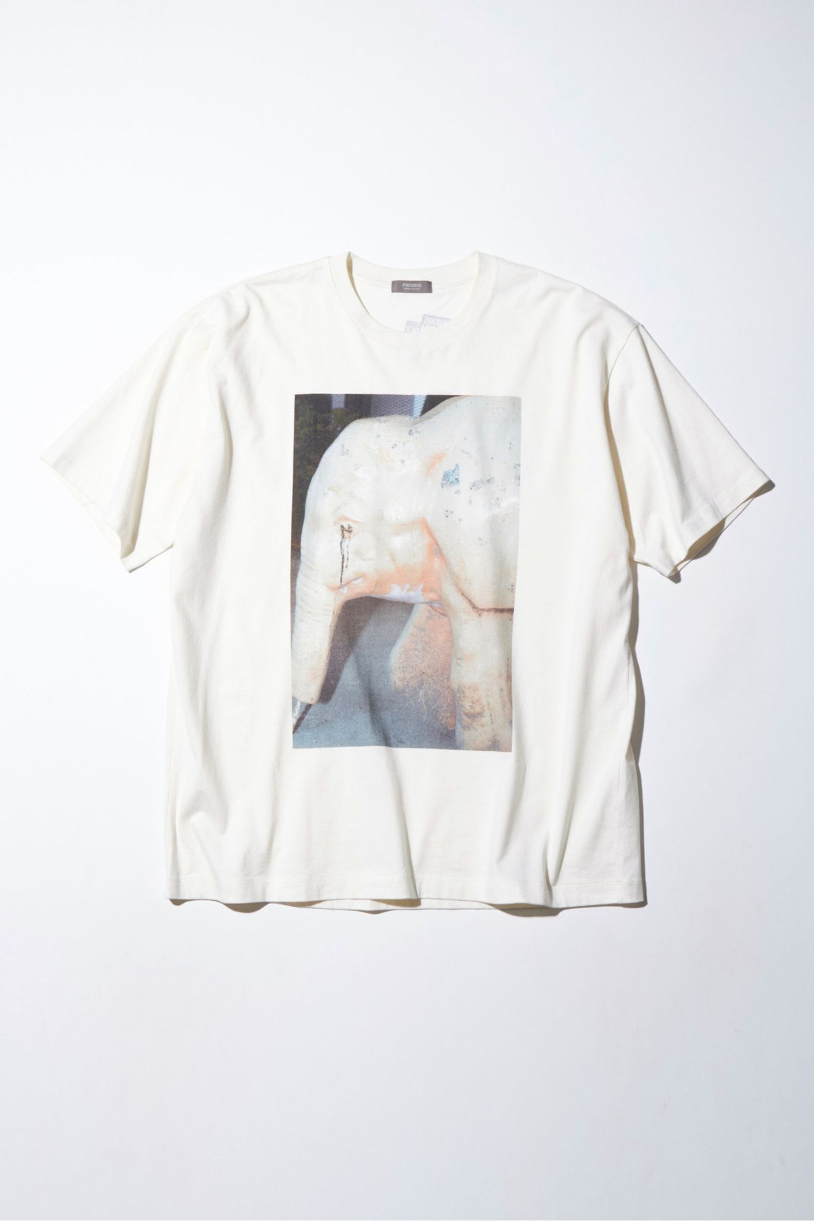 PRINTED T-SHIRT SS / PHYSICAL/プリントTEE
