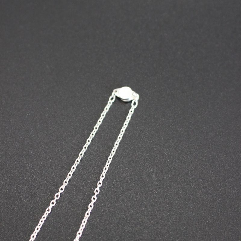 U117 " AZUKICHAIN1 " NECKLACE | SILVER925 | ネックレス