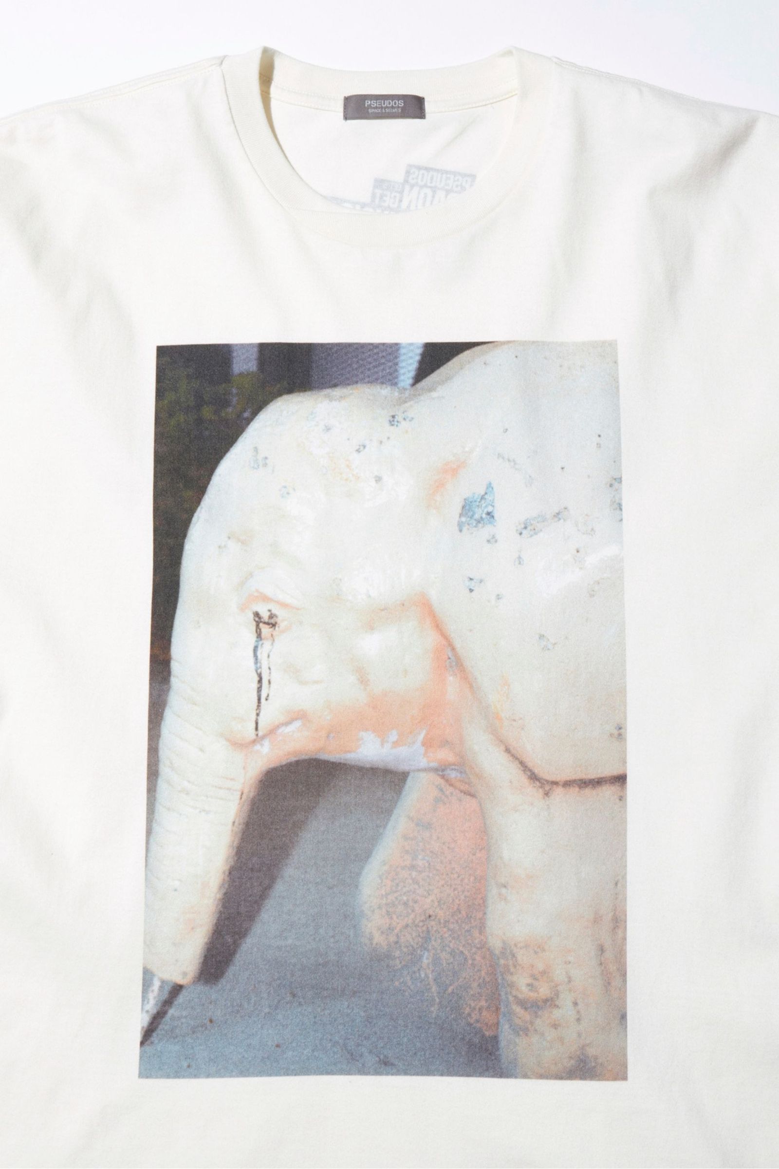 PRINTED T-SHIRT SS / PHYSICAL/プリントTEE