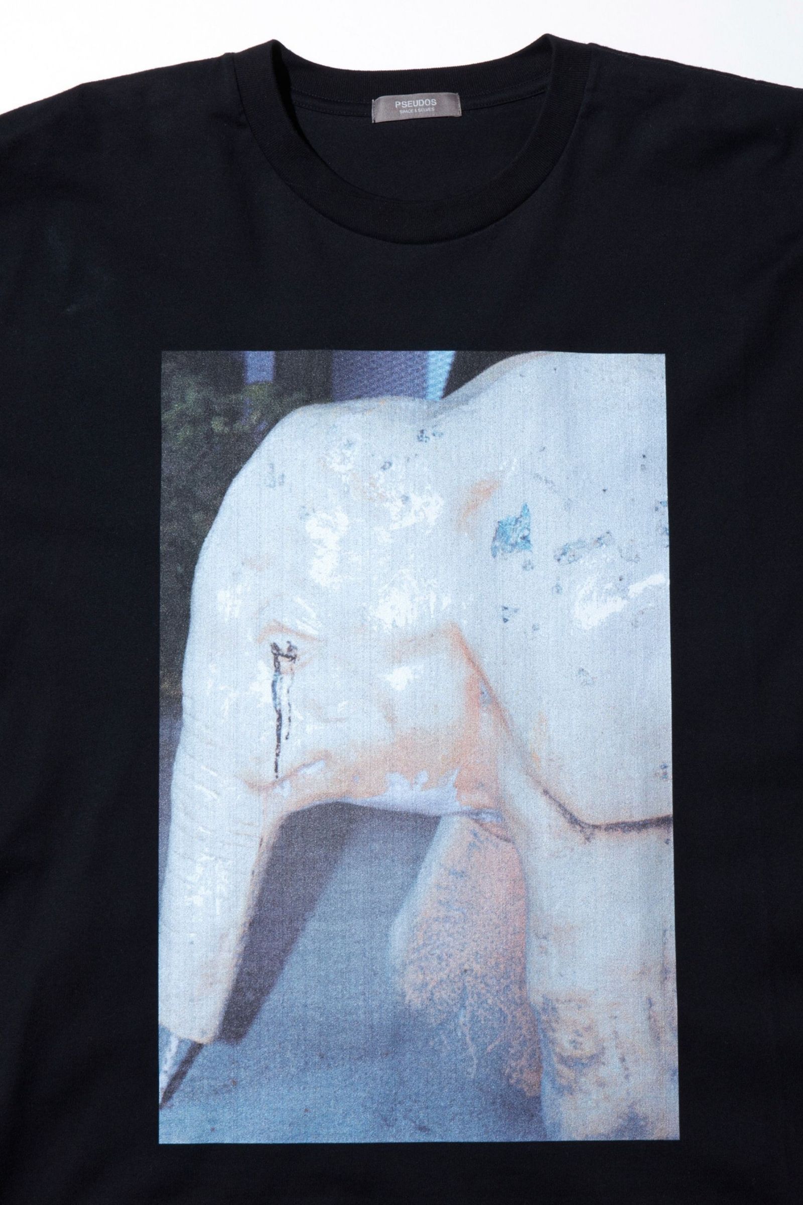 PRINTED T-SHIRT SS / PHYSICAL/プリントTEE