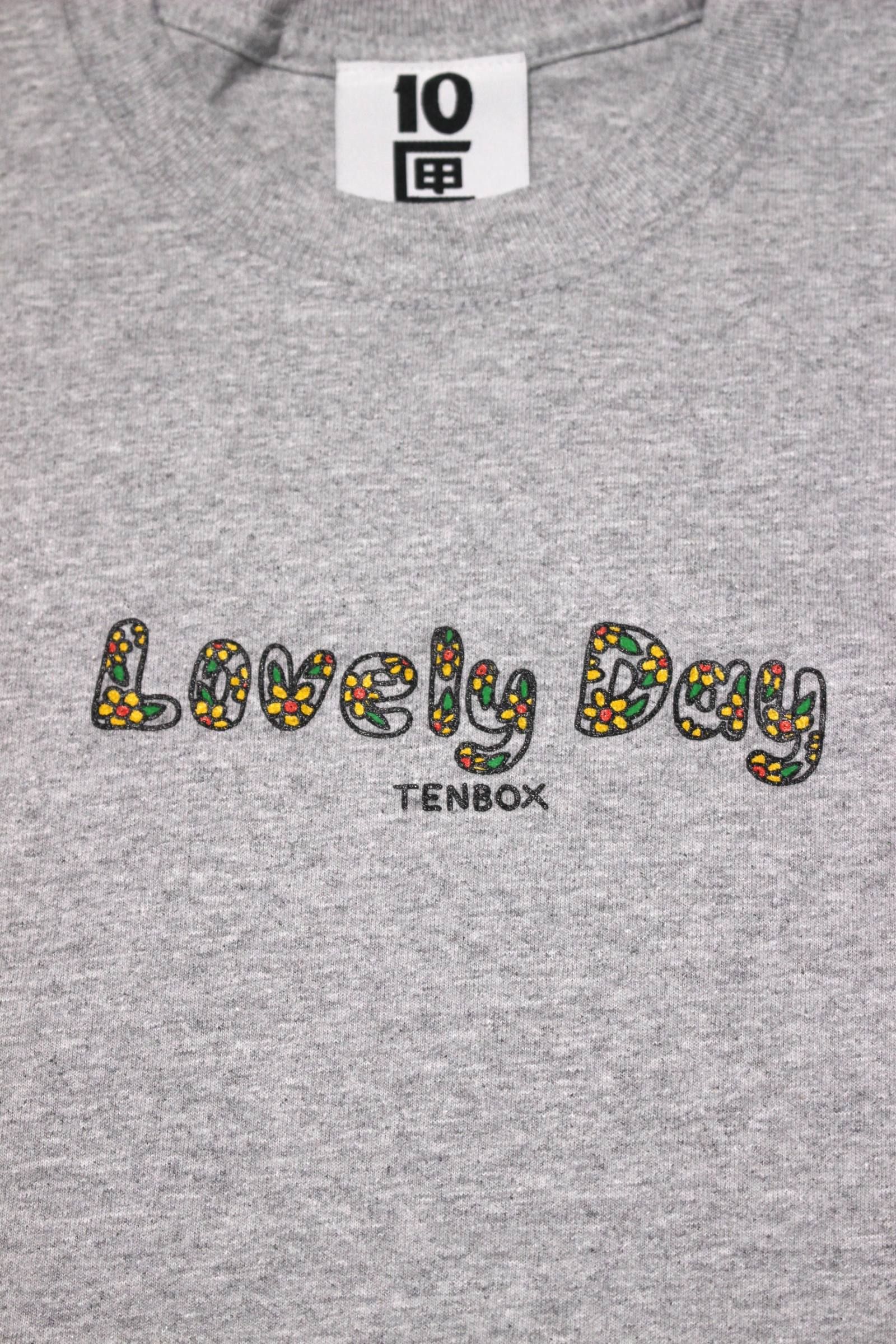 [ラスト1点] BRODIE LOVELY DAY TEE | GRAY | Tシャツ