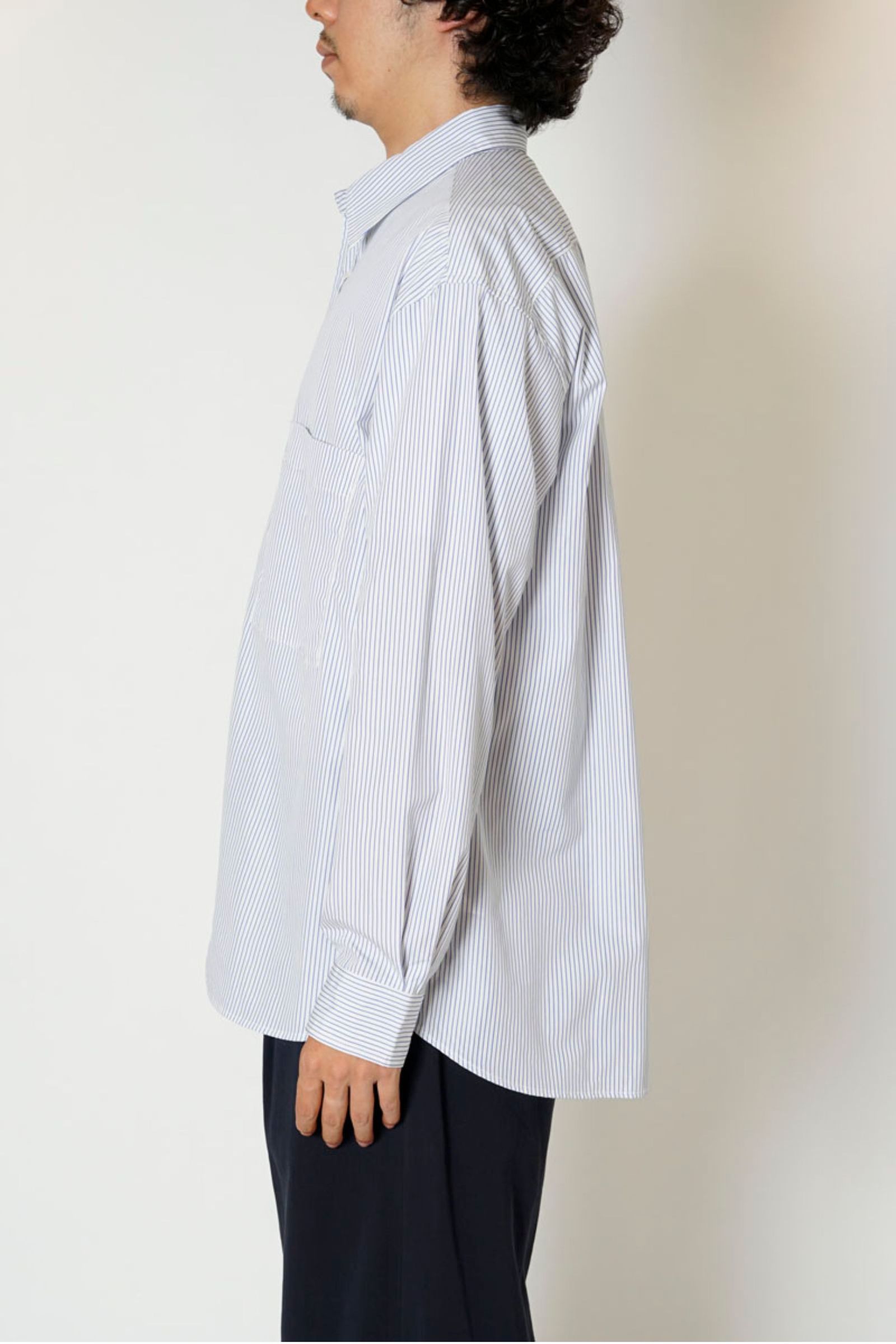 T.M. STRIPE REGULAR COLLAR L/S SHIRT/WHITE STRIPE