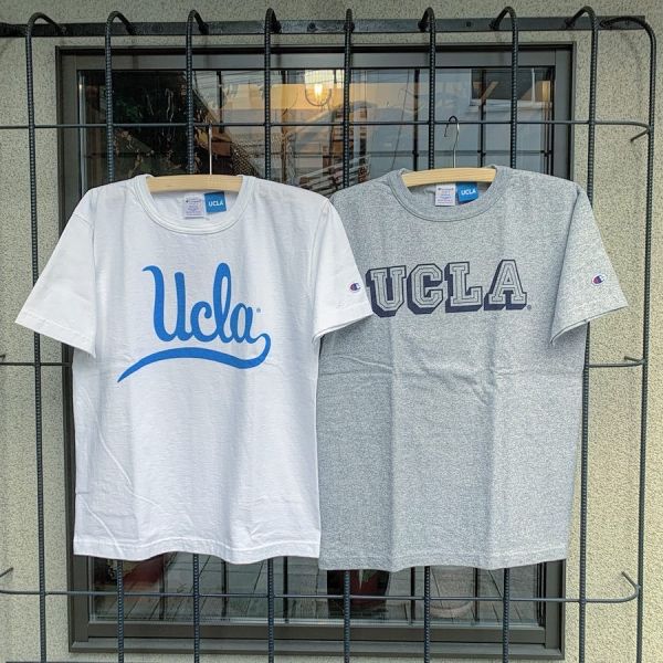 Champion / T1011 - UCLA Tシャツ ヘザーグレー