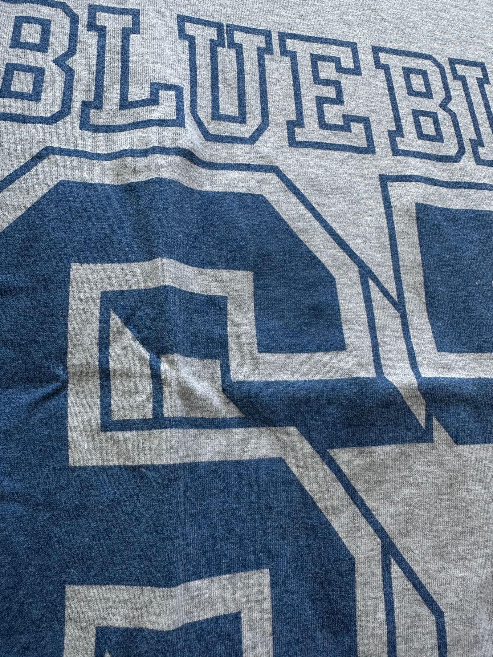 BLUE BLUE 67 ビッグロゴ Tシャツ / グレー