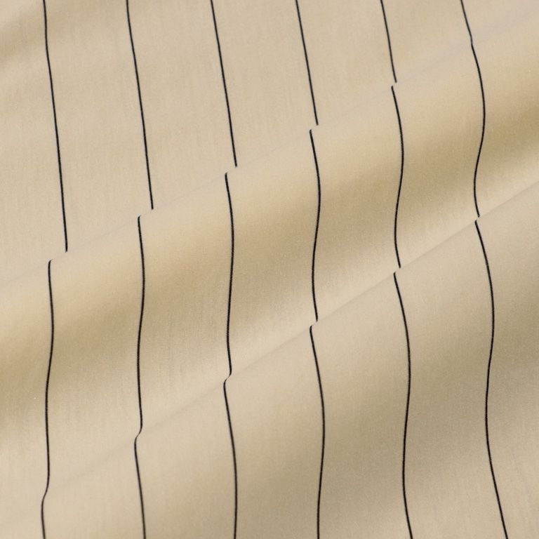 46G Stripe Atmosphere Shirt（BEIGE NAVY）