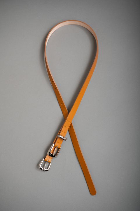 Elongated （CAMEL）