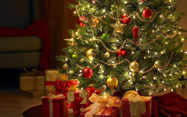 Merry Christmas🎄