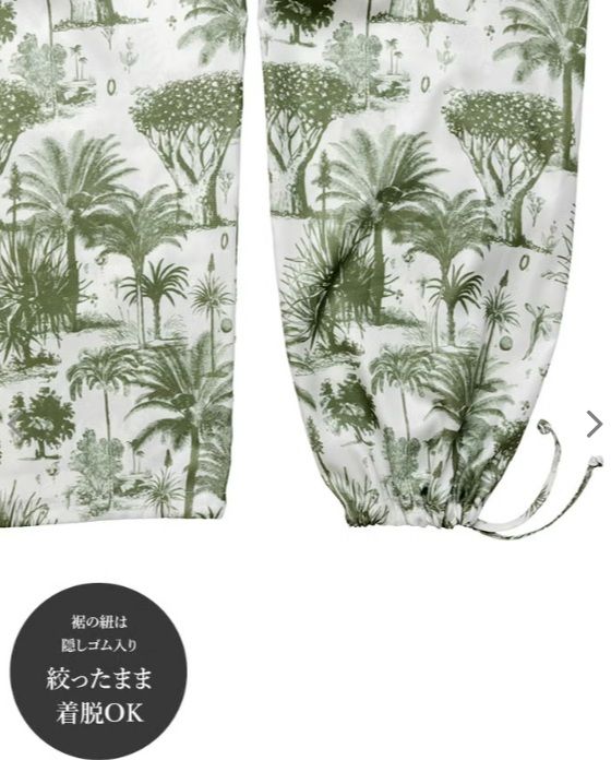 ぺラクスパンツ 植物画