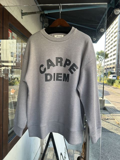 ロゴニットソー グレー