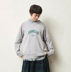 アメリカンドライ裏毛ILLINOISプリントPO グレー
