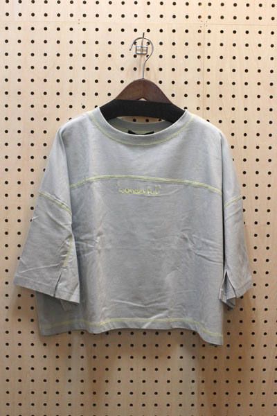 配色ステッチロゴ刺繍Tシャツ ミント