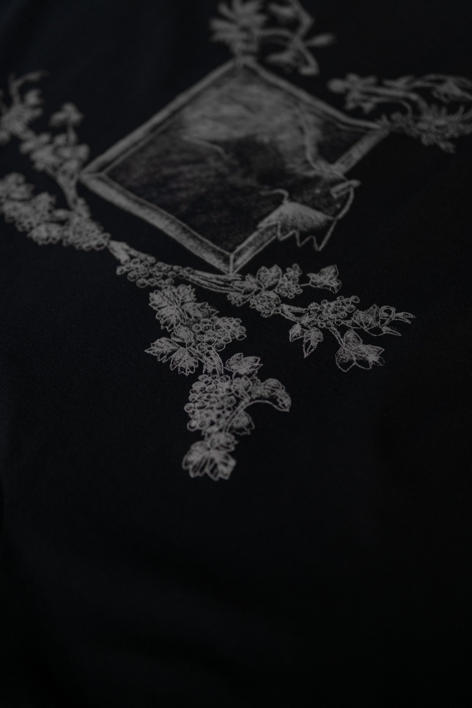 THE PICTURESQUE BIRD / COLOURLESS BLACK