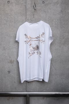 THE PICTURESQUE BIRD / COLOURLESS WHITE