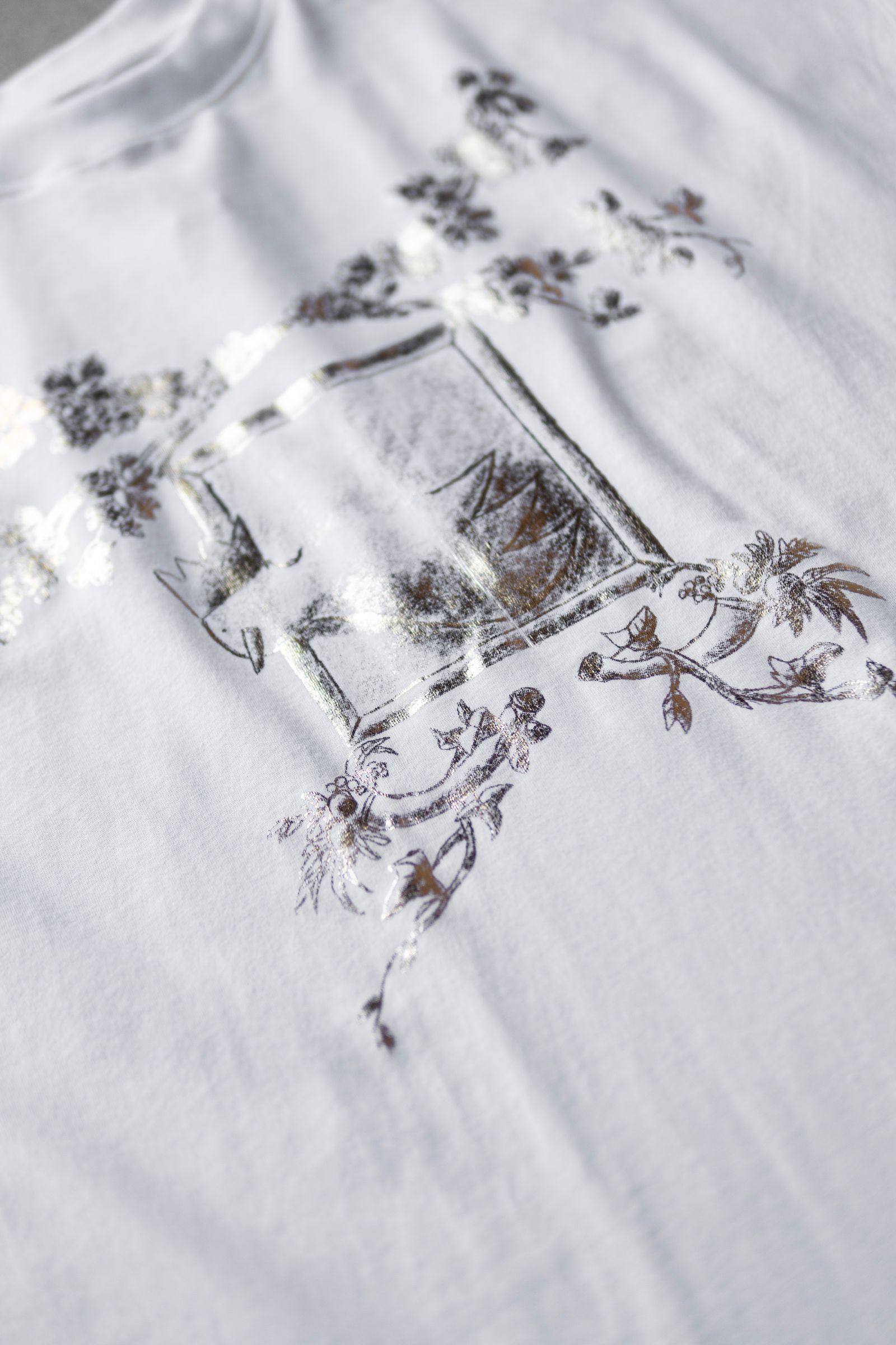 THE PICTURESQUE BIRD / COLOURLESS WHITE