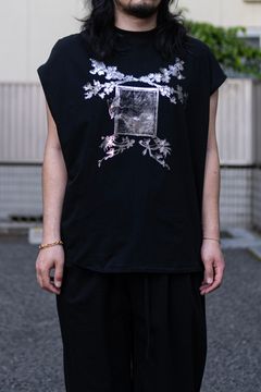 THE PICTURESQUE BIRD / COLOURLESS BLACK