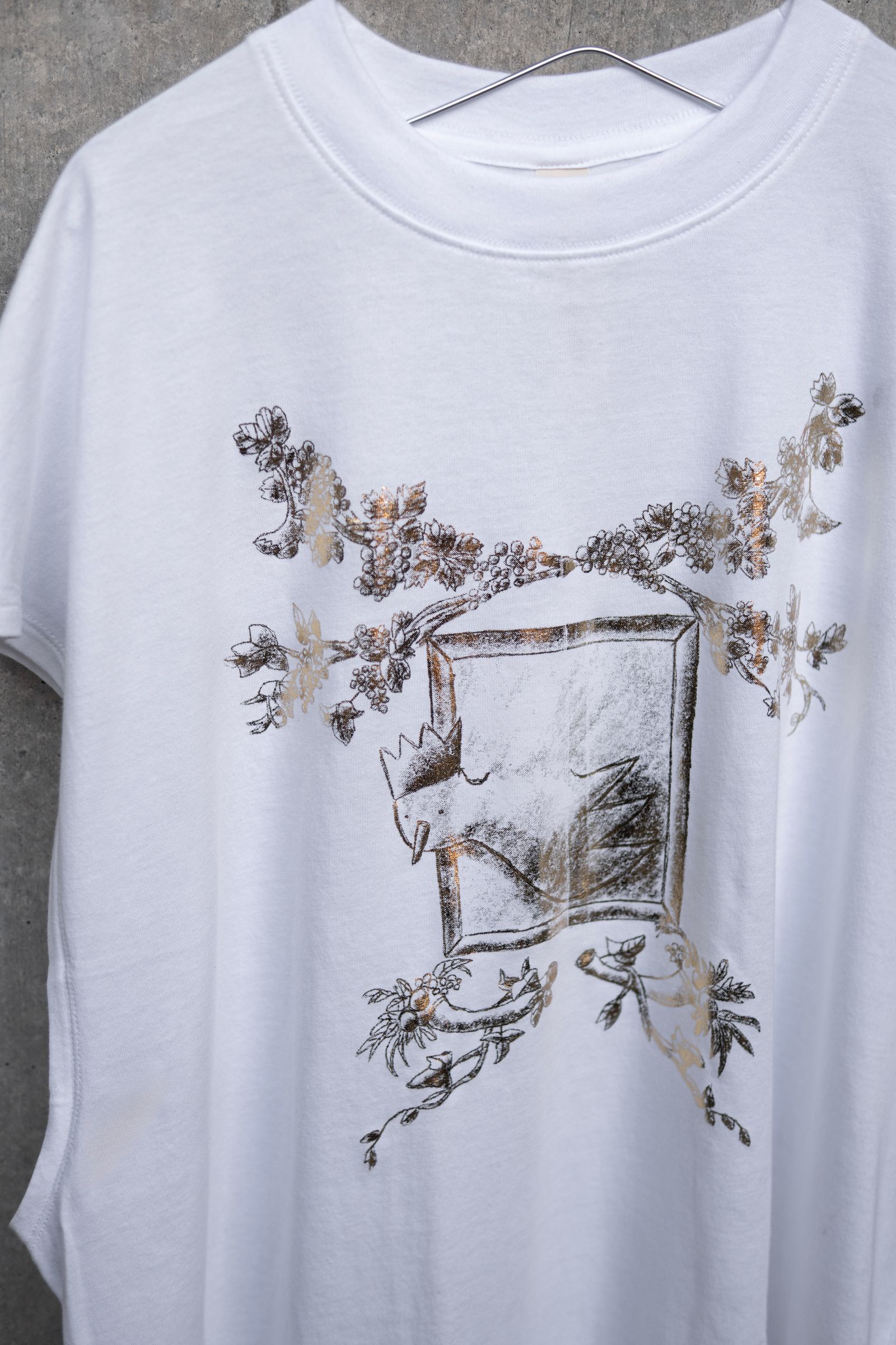 THE PICTURESQUE BIRD / COLOURLESS WHITE