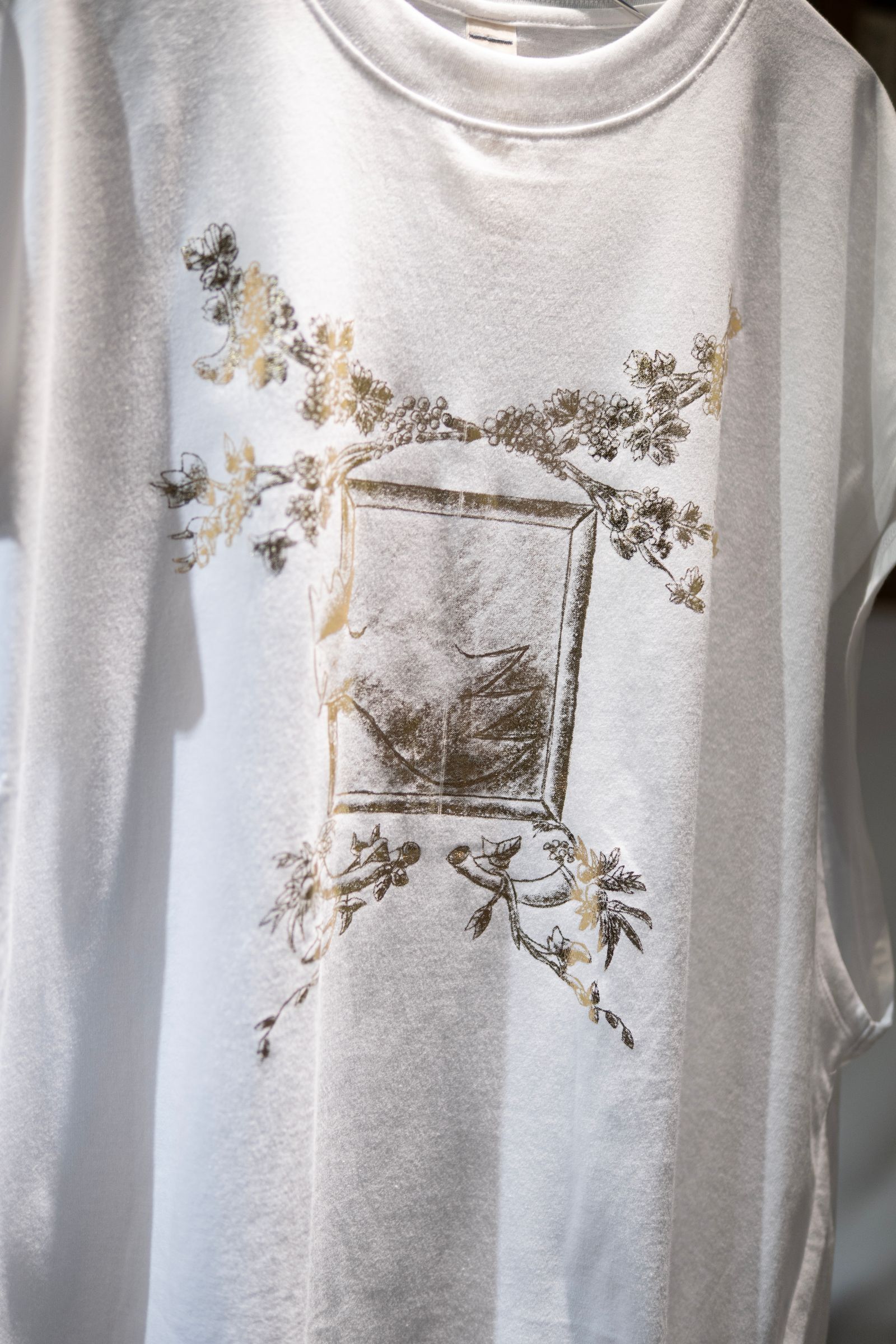 THE PICTURESQUE BIRD / COLOURLESS WHITE