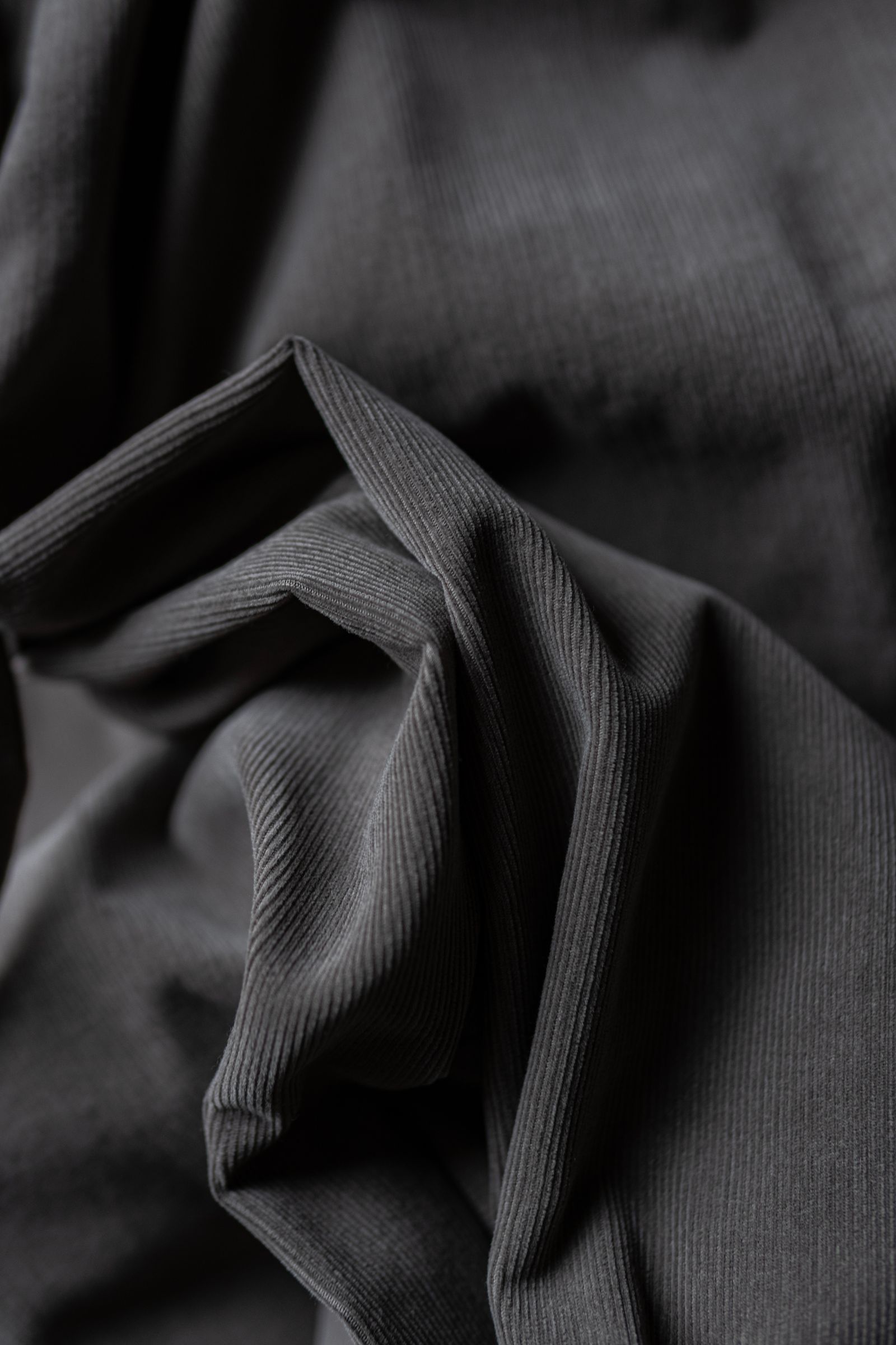 Soft Corduroy Browsing Pants / Greige