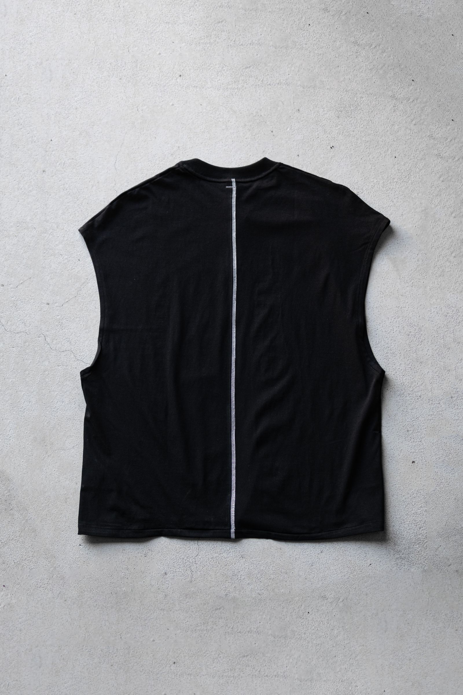 THE PICTURESQUE BIRD / COLOURLESS BLACK