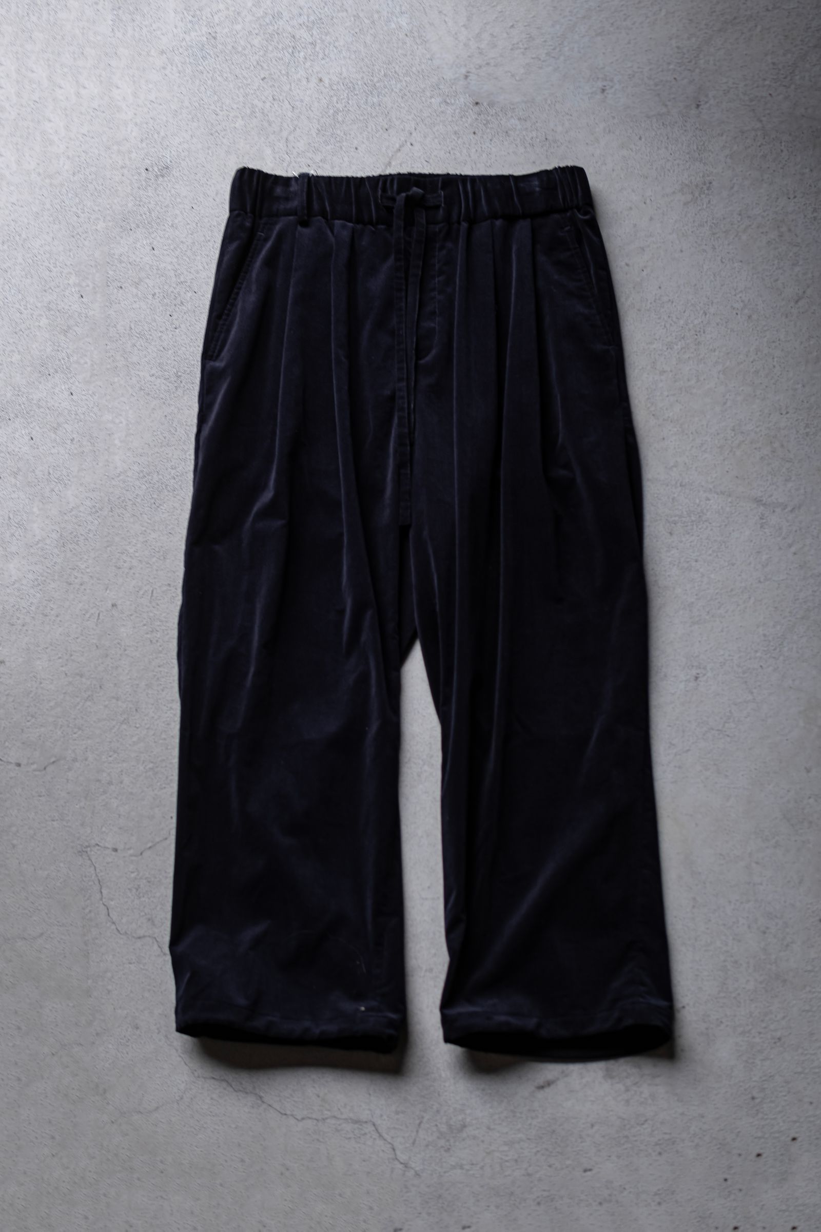Soft Corduroy Browsing Pants / Navy