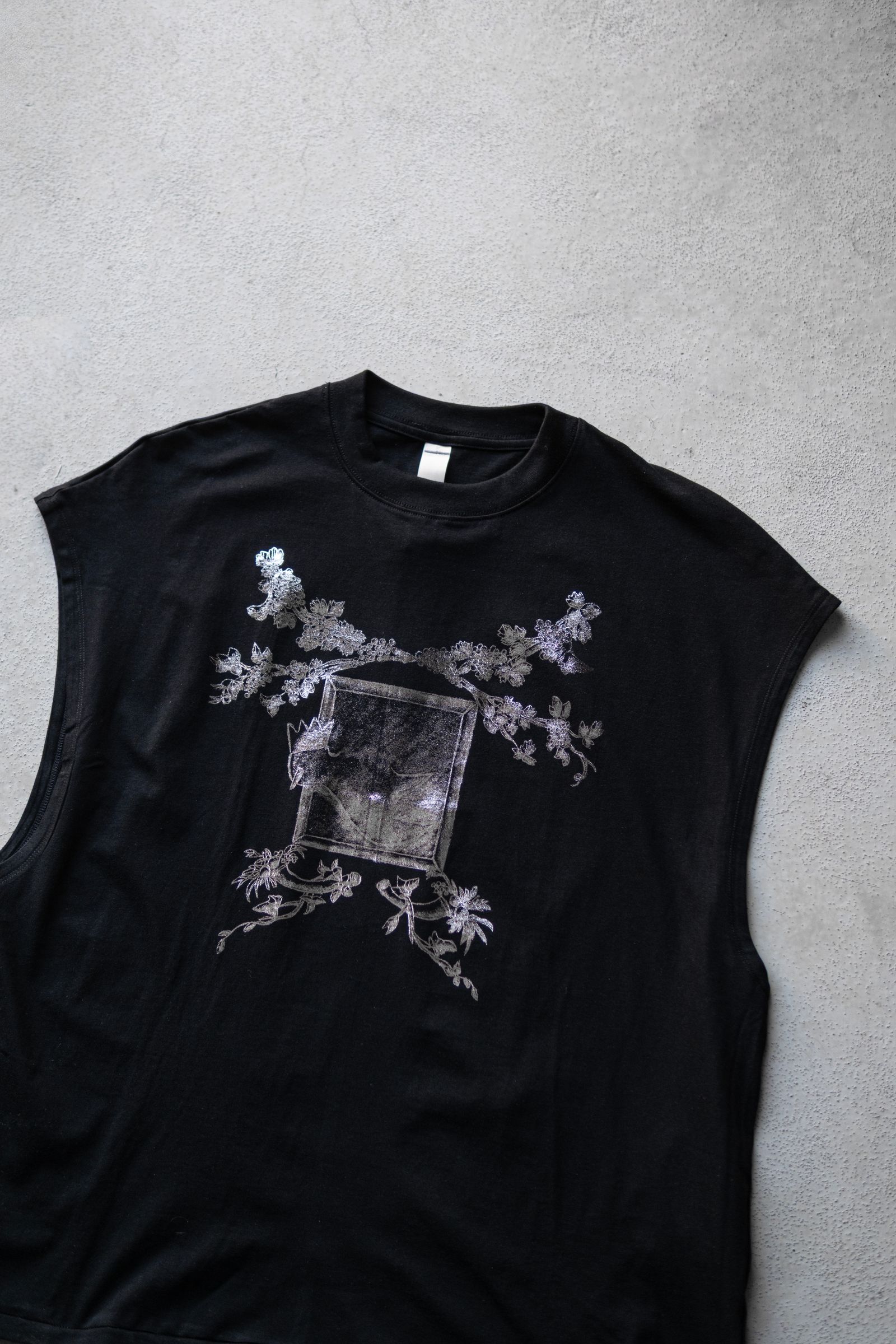 THE PICTURESQUE BIRD / COLOURLESS BLACK