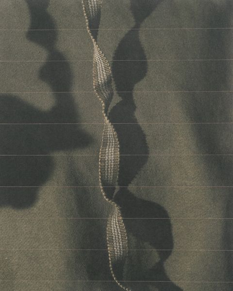 No. 6