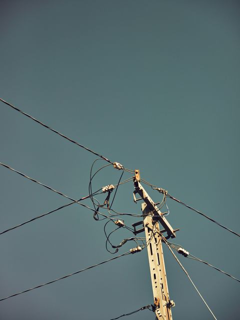 No. 18