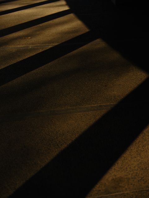 No. 6