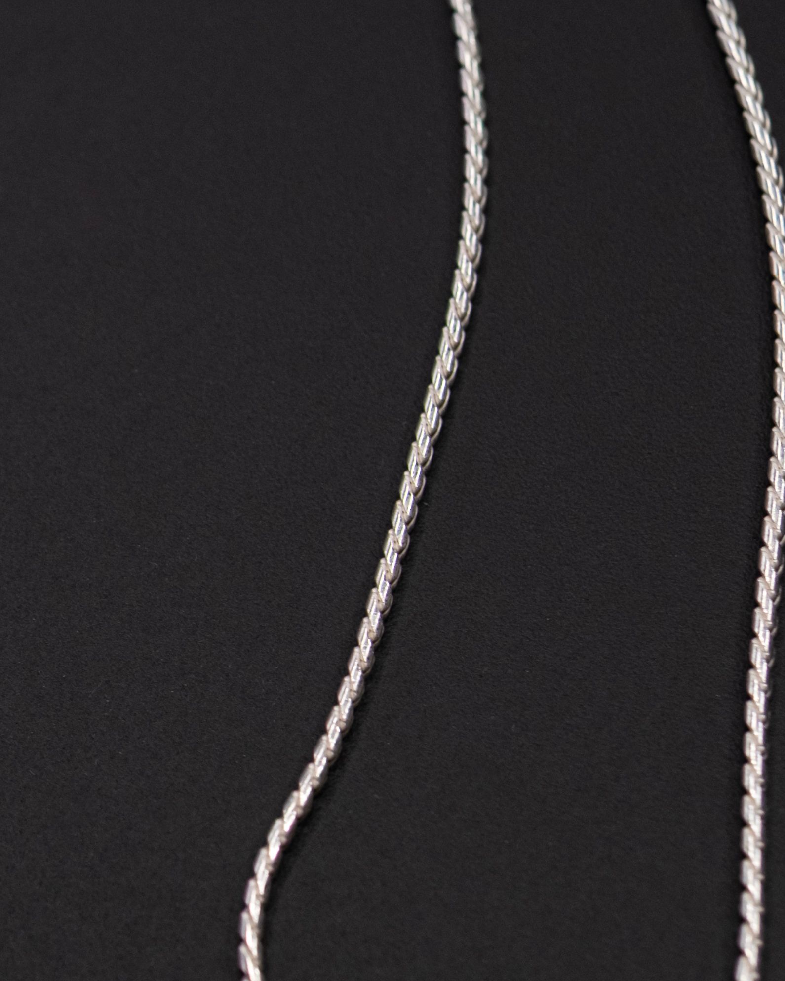 Severus Clasp Necklace / Silver
