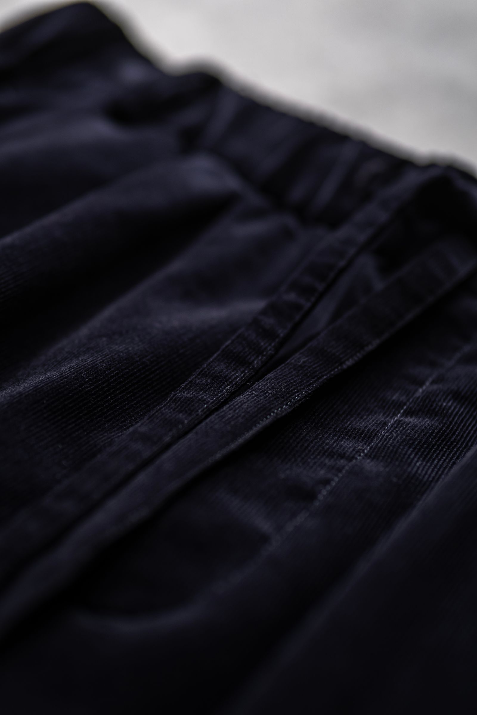 Soft Corduroy Browsing Pants / Navy