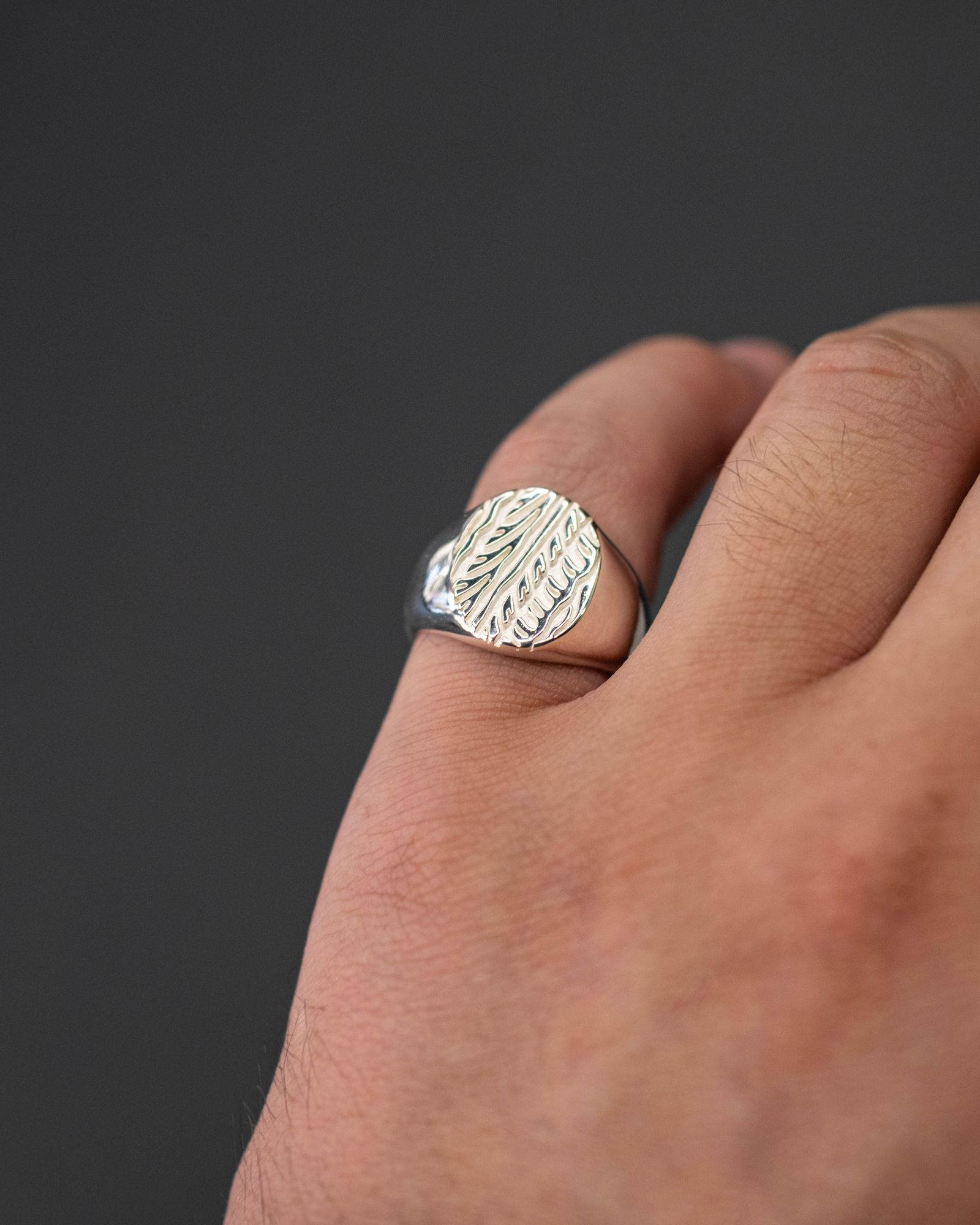Skid Signet / Silver