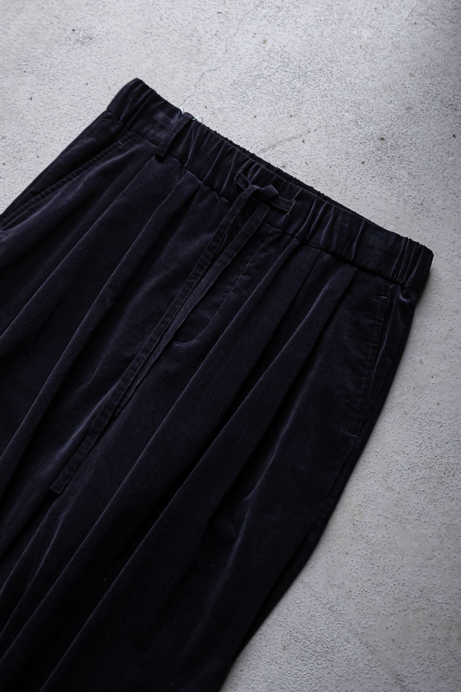 Soft Corduroy Browsing Pants / Navy