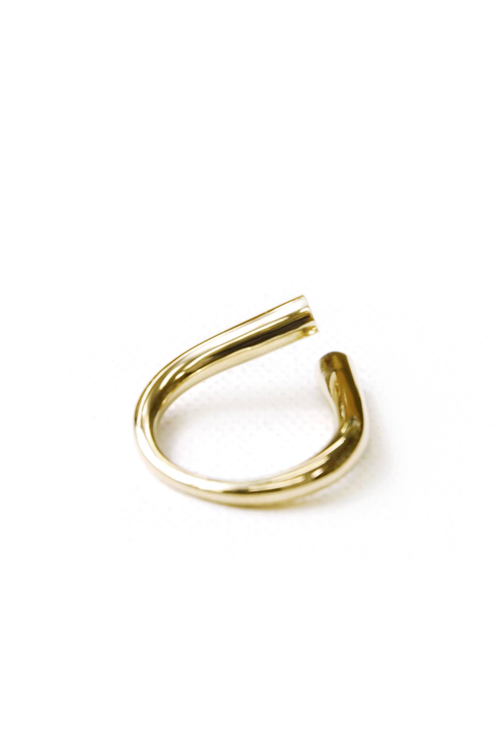 【オーダー可能】R108 silver925 ring GP