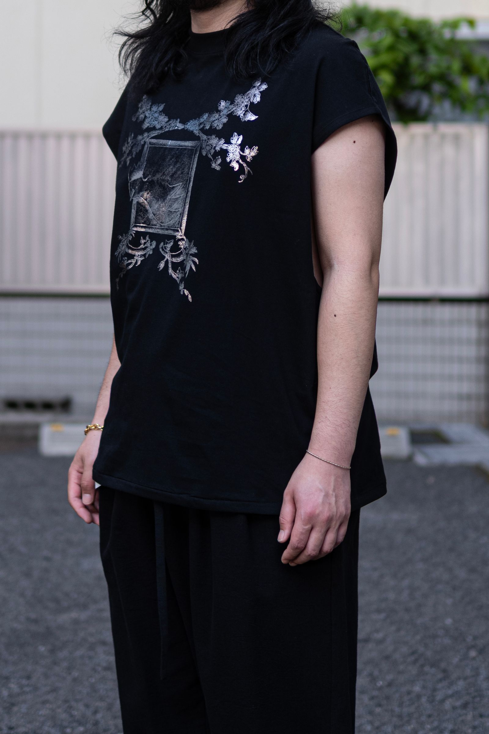 THE PICTURESQUE BIRD / COLOURLESS BLACK